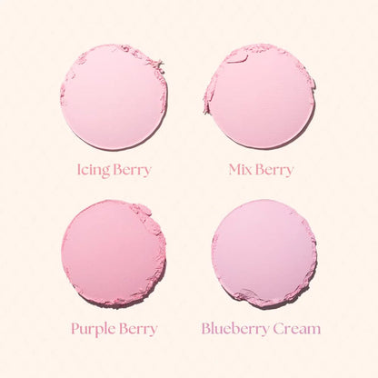 Four pink macarons labeled 'Icing Berry', 'Mix Berry', 'Purple Berry', and 'Blueberry Cream' on a light pink background.