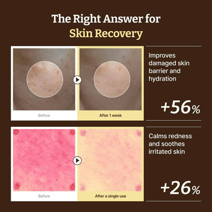 DR. REJU-ALL - Advanced PDRN Rejuvenating Cream